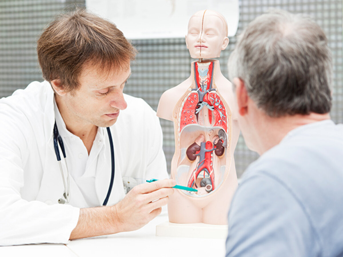 Arzt des Kontinenz- und Beckenbodenzentrums am Caritas-Krankenhaus St. Joseferklärt Anatomie mit Modell.