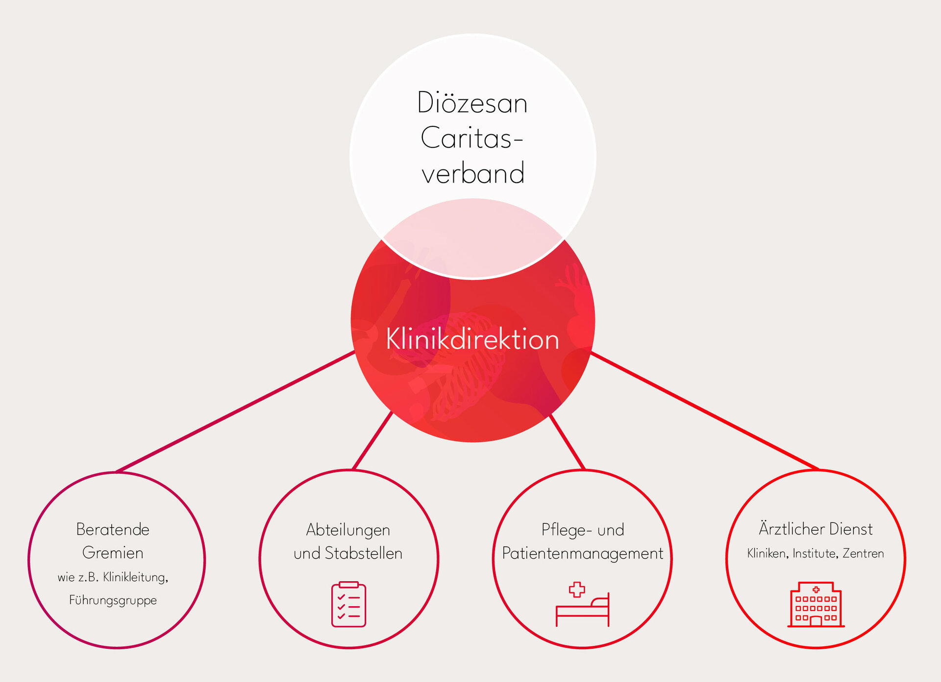 Schematische Darstellung der Organisation des Caritas-Krankenhauses St. Josef Regensburg